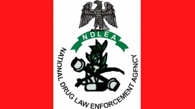 NDLEA Screening Date