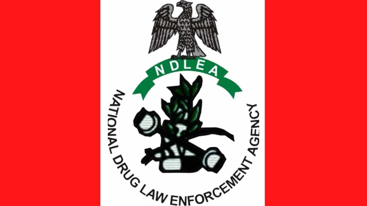NDLEA List of Shortlisted Candidates