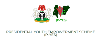 www.p-yes.gov.ng portal login