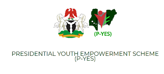 www.p-yes.gov.ng portal login