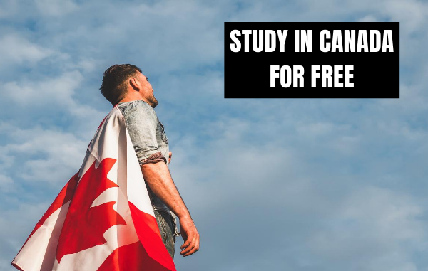 Free Online Courses In Canada For International Students