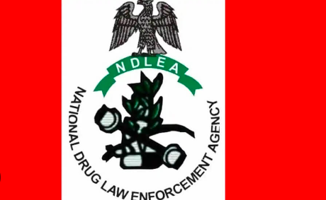 ndlea registration portal